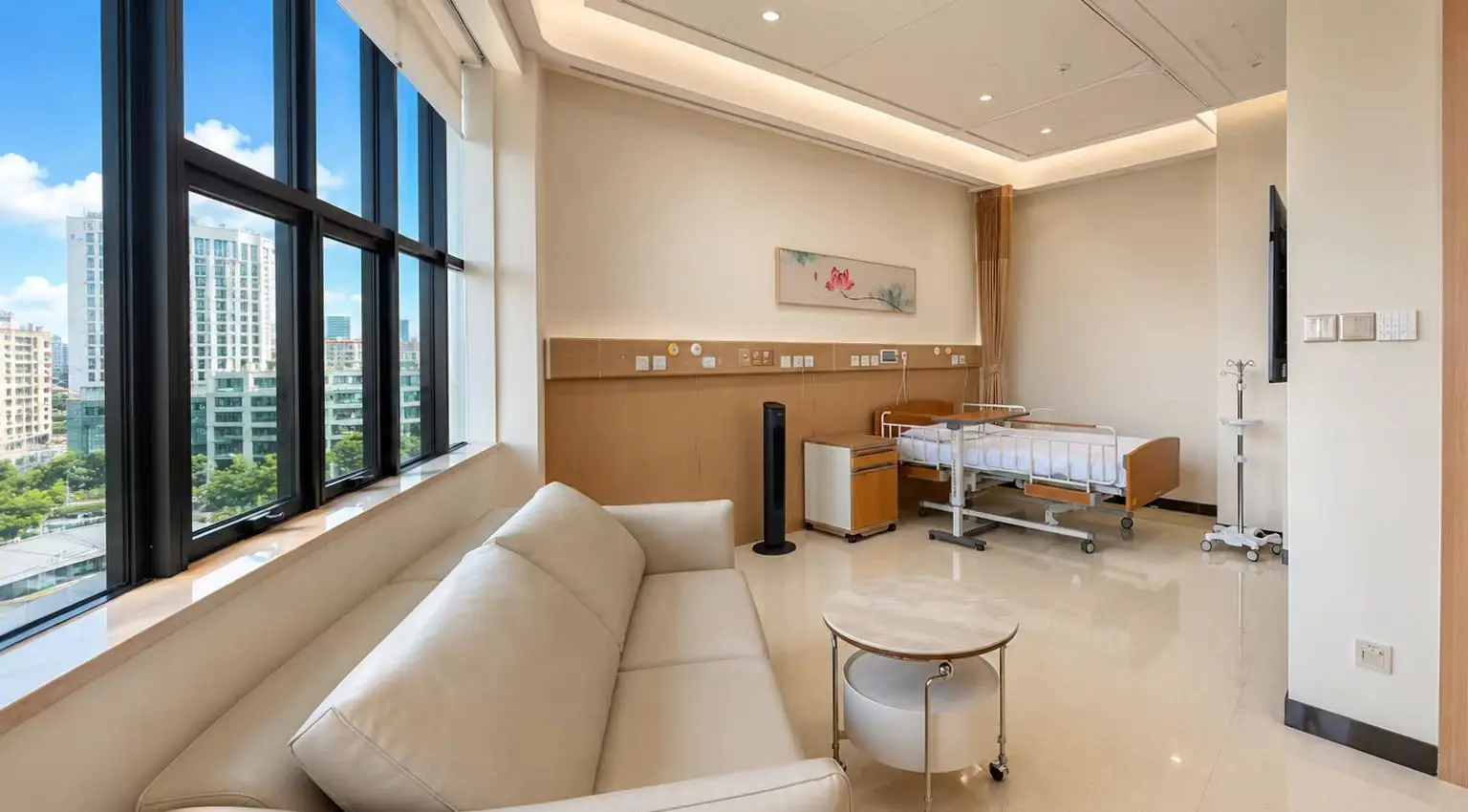 Private patient suite with a city view