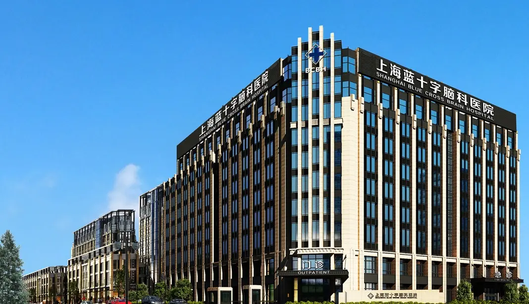 Shanghai Blue Cross Brain Hospital — campus photograph in the supplied brochure