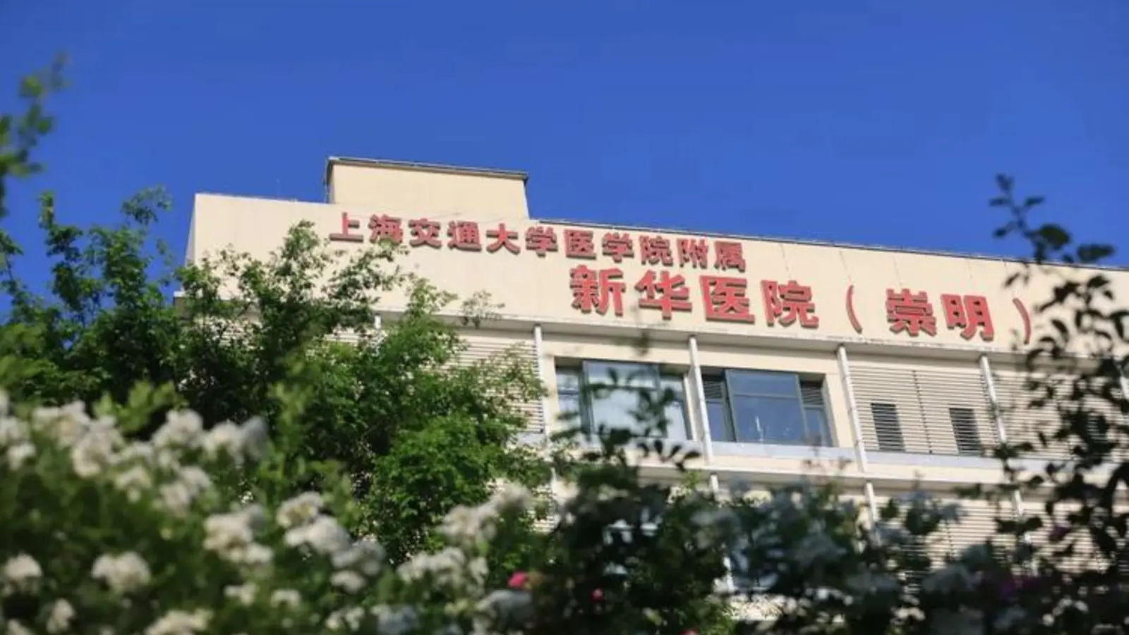 Xinhua Hospital Affiliated to Shanghai Jiao Tong University School of Medicine facility reference image