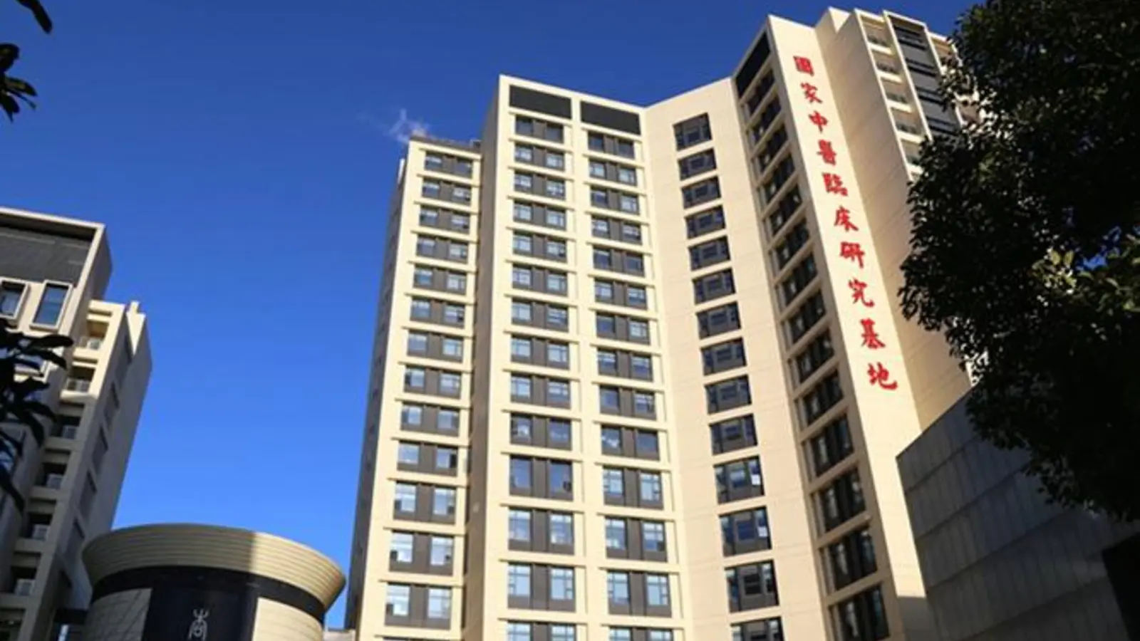 Longhua Hospital Shanghai University of Traditional Chinese Medicine facility reference image